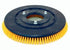 EQ2-PBCASTEX-TENNANTSM19"-AM-Poly Brush : 19"