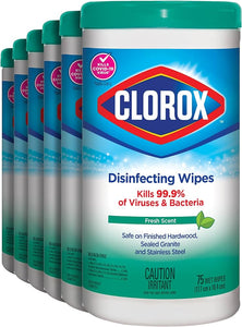 CH2-CLOROXDWFS-EA-DP-Fresh Scent : 75 Sheets