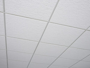 MS1-USGWACT-HD-Ceiling Tile : 2 X 4"